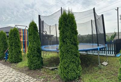 Oferta de vanzare casa deosebita, 215 mp,245000 euro Mihai Viteazu - 10