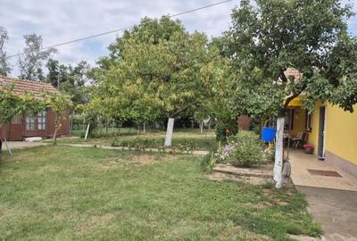 Casa de vanzare - Crai Nou, jud Timis - SAU schimb cu apartament 2 camere in Tim - 6