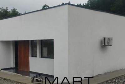 Casa cu 3 camere in Tocile - 11