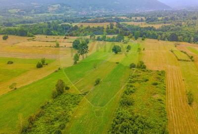 Teren extravilan 8,439mp Sinca Noua /Comision 0 % - 3