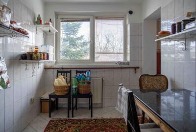 Casă individuală cu 10 camere cu Garaj în Chitila - 23