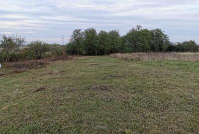 Spațiu comercial, în Chișirid - 1