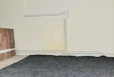 Spatiu Comercial SAD vad bun I Iosefin - 8