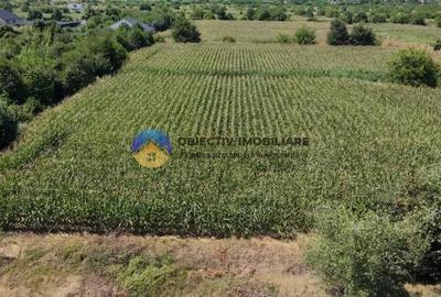 Teren de 3866 mp, în Izvoare (Dumbrava Roșie) - 12