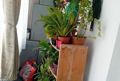 Apartament cu 3 camere semidecomandat, mobilat în Spitalul Județean - 9