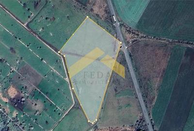 Teren 21,000 mp intravilan de vanzare centura de nord Arad - 1