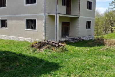 Casă cu Teren 8000 Mp în Roșia Montană - 4