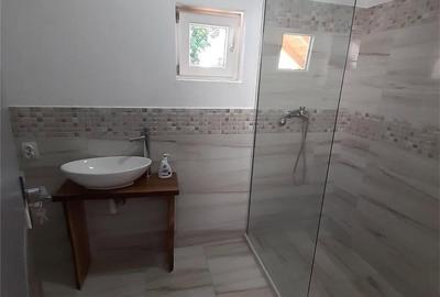 Casă cu 2 camere în Cârțișoara - 5
