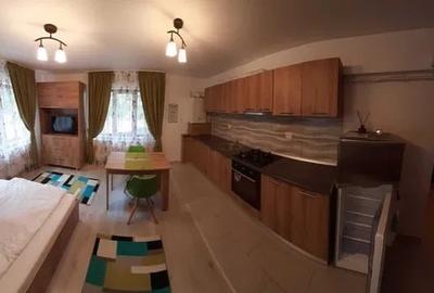 Apartament cu 1 camera, zona Nicolina-Lidl - 4