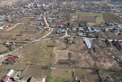 Teren Construcții intravilan de 1797 mp, în Dobrovăț - 7