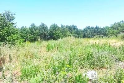 Teren de 1500 mp, în Nădab - 2