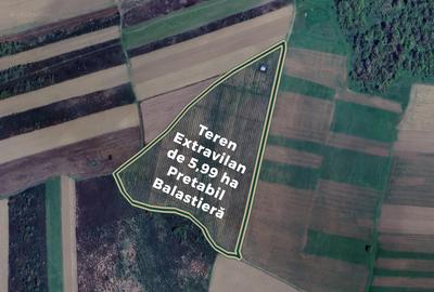 Teren extravilan de 59900 mp, în Ususău - 1