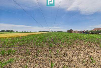 Teren agricol extravilan de 5000 mp, în Gai - 1