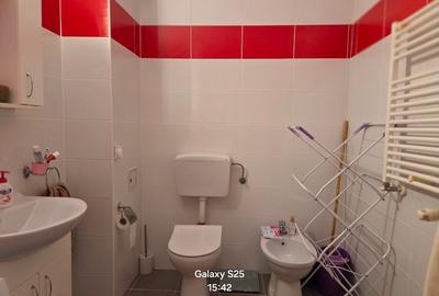 Apartament cu 3 camere decomandat în Nufărul - 12