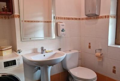 Casa de vanzare Green City - 1 Decembrie - 10