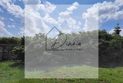 Casa Ciocanesti Cretu - 2 camere cu teren 2539 mp - Jud. Dambovita - 16