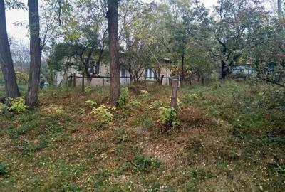 Casa batraneasca cu gradina in Botosani - 1