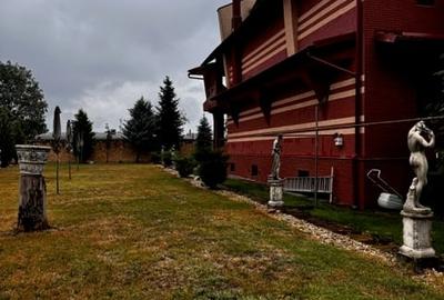 Baneasa, Sisesti, vanzare vila S+P+1E+M, renovata in 2014, 1576 mp teren, - 17