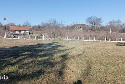 Teren de 4700 mp, în Brusturi - 2
