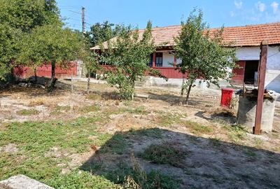 Casa de vanzare Calina,Prundeni