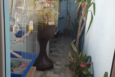 Apartament cu 2 camere semidecomandat, mobilat în Pantelimon - 3