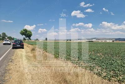 Teren agricol la sosea, pretabil si ptr constructii industriale - 2