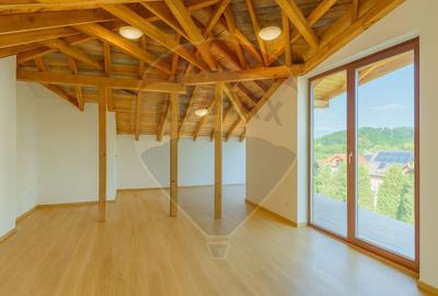 Casă individuală cu 10 camere cu Piscina în Bunloc - 9