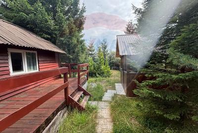 Cabana Marisel aproape de partia de ski- COMISION 0% - 5