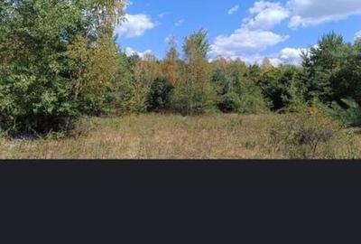 Spațiu comercial, în Vârloveni - 1