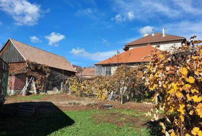 Casă cu 4 camere în Dealu - 2