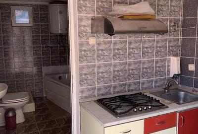 Imobil localitatea Cricau jud.Alba - 11