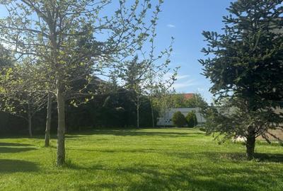Snagov, vila individuala P+1, 6 camere, teren 2481 mp, - 5