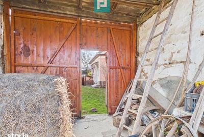 Casă cu 5 camere cu Teren 1629 Mp în Târnova - 2