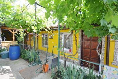 Casa din caramida, Parter + Pod - Dobroesti - 22