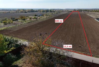 JOITA LOT 7344 MP - 2