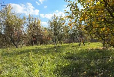 Teren de 1872 mp, în Cucuteni - 5
