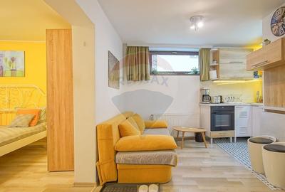 Casa cu 5 studiouri independente, terasa rooftop, vedere montana - 20