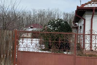 Casă în Lehliu - 4