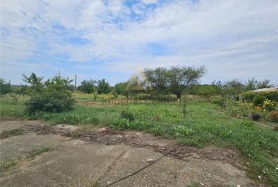 Teren de 10000 mp, în Periferie - 7