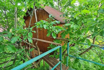 Direct proprietar - Proprietate Unica Buftea - 43