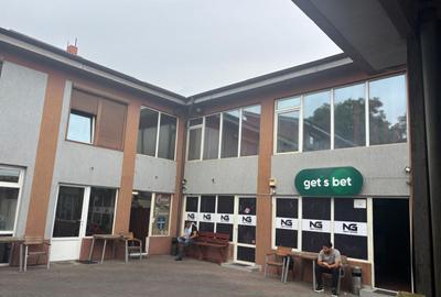 Spalatorie auto, spatii comerciale, b-dul N. Romanescu - 17