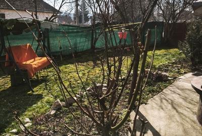 Casă individuală cu 3 camere cu Canalizare în Corunca - 8