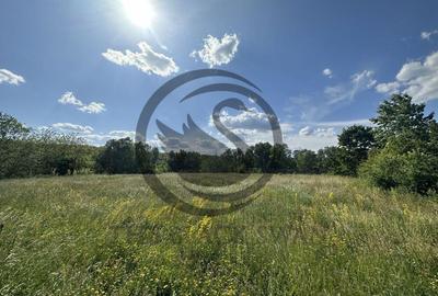 Teren Vanzare 11.000 MP Ghirdoveni | Comision 0% - 12