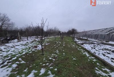 Casă cu 5 camere cu Teren 1850 Mp în Aradul Nou