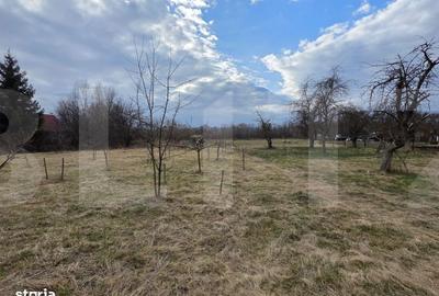 Spațiu comercial, în Ghidfalău - 6