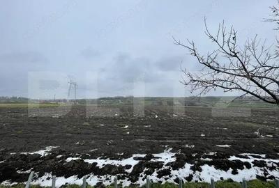 Casă cu 3 camere cu Teren 9300 Mp în Vadu Moldovei - 4