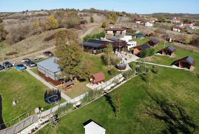 Locatie cu balta de pescuit si cabanute din lemn de vanzare , la 40 km de Timisoara - 9