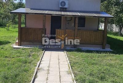 Casă cu 5 camere cu Teren 1675 Mp în Pestișu Mic - 1