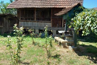 Casă cu 2 camere în Văgiulești - 8