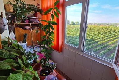 Apartament cu 2 camere decomandat în Central - 6